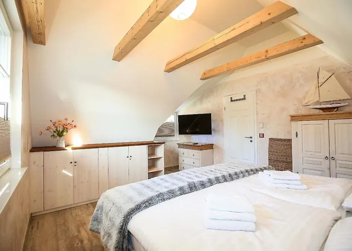 Zeitlos * غلوفي